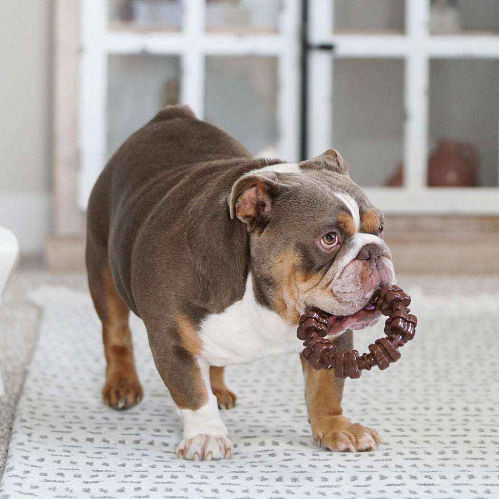 Dog Chew Toys, 3 Count, Large M736