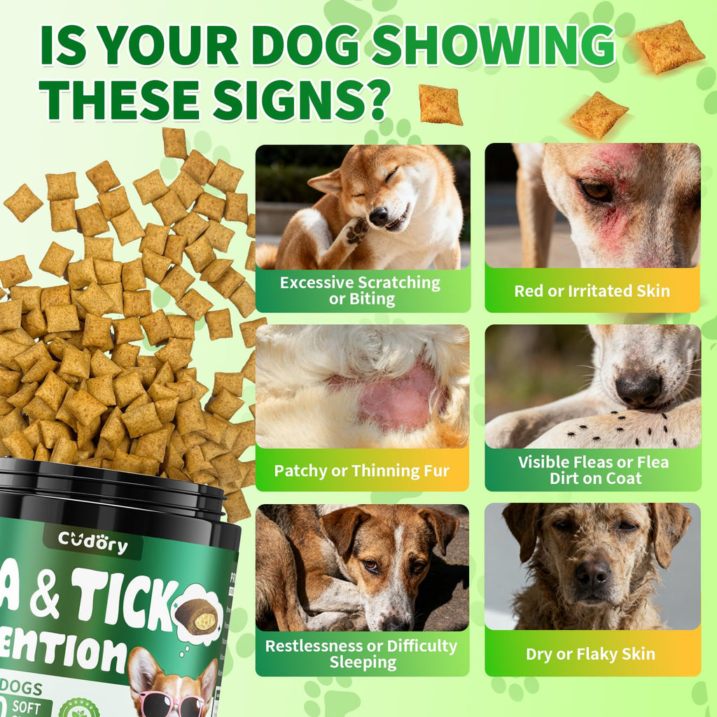 Flea and Tick Prevention for Dogs Chews W164283