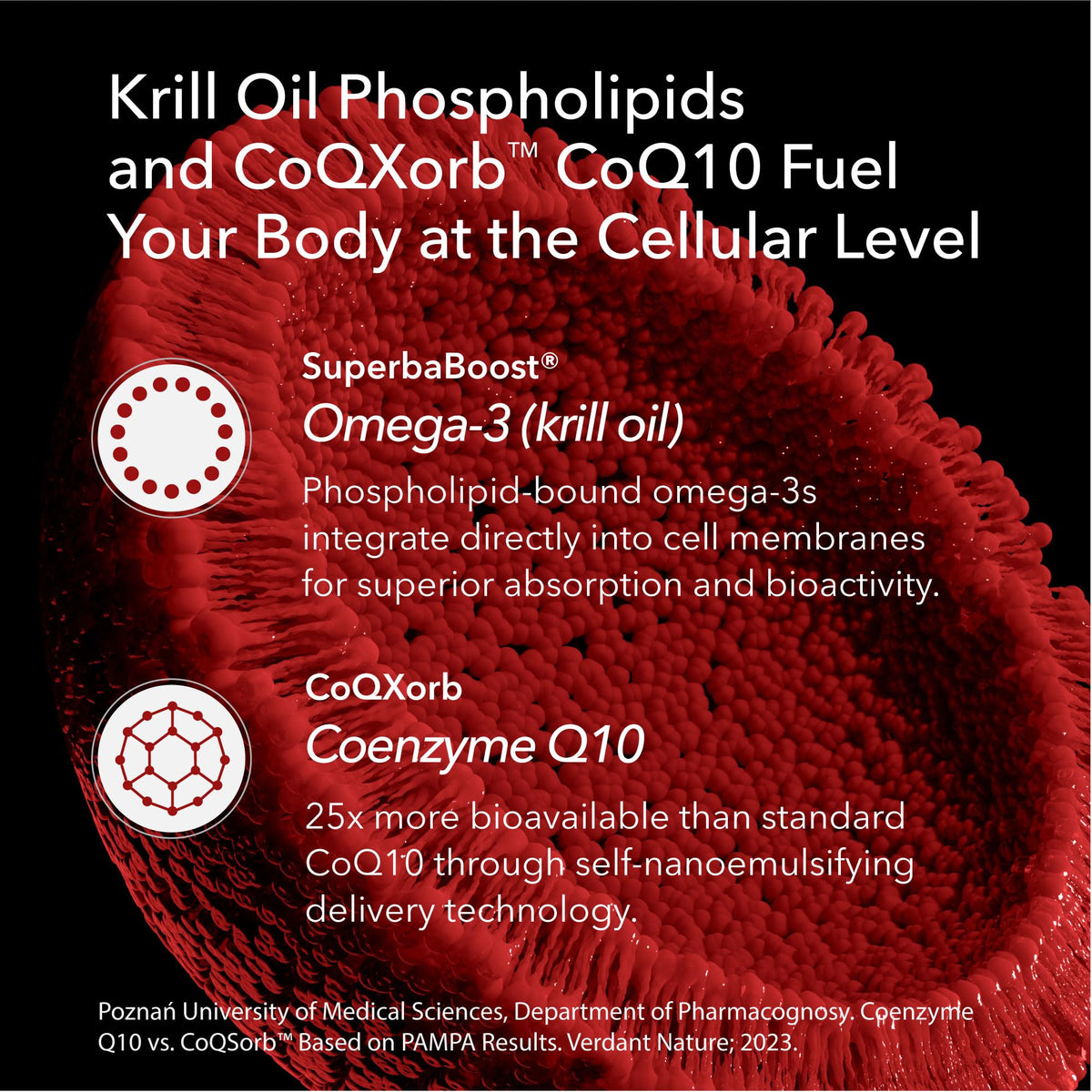 Omega 3 CoQ10 Antarctic Krill Oil 1,000mg 60 Softgels U629972