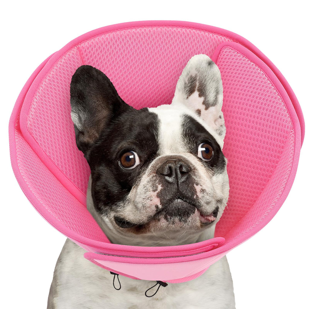 Soft Dog Cone Collar L453
