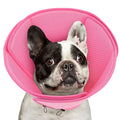Soft Dog Cone Collar L453