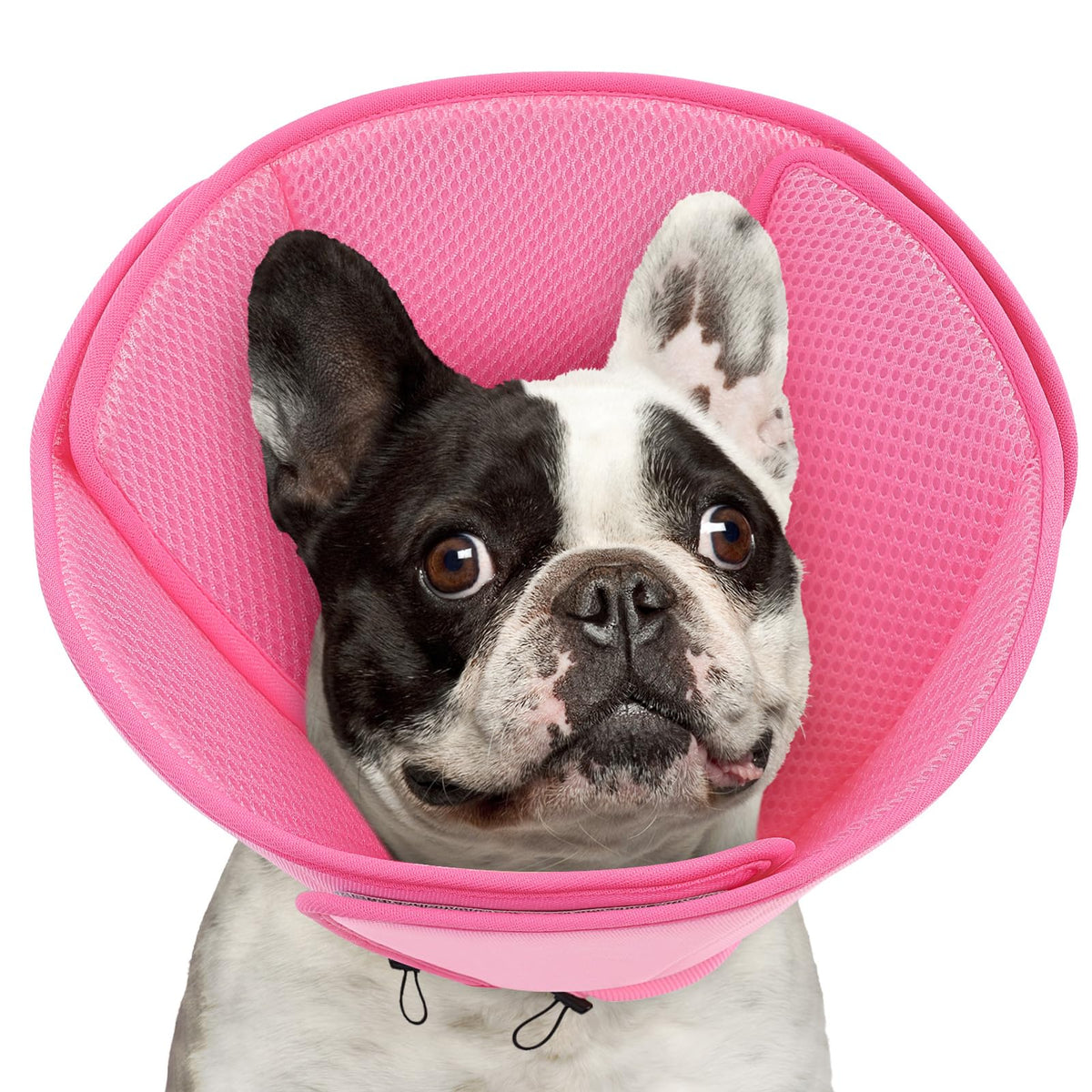 Soft Dog Cone Collar L453
