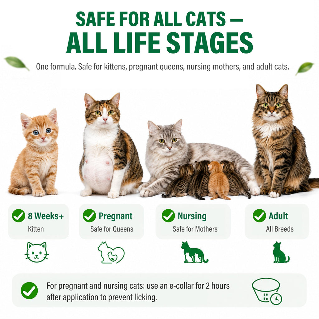 Cat Flea & Tick Topical Drops 12 Doses M789