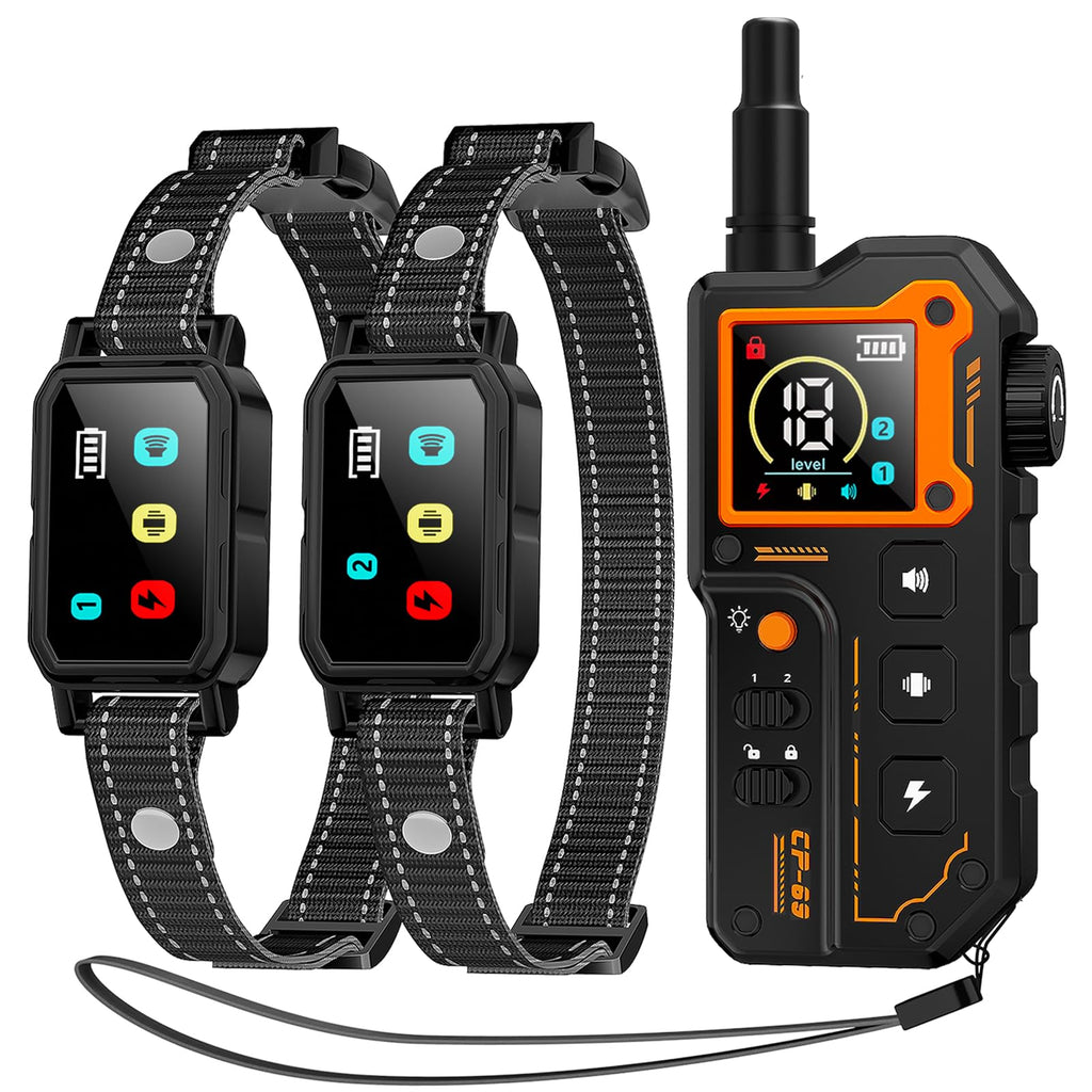Dog Training Collar with Remote P708003