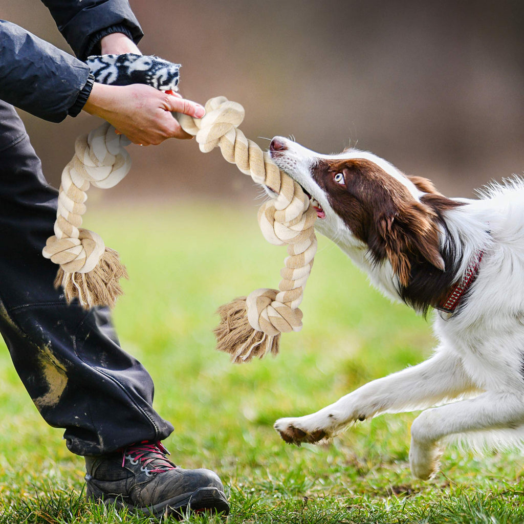 Dog Rope Toys for Aggressive Chewers V68939