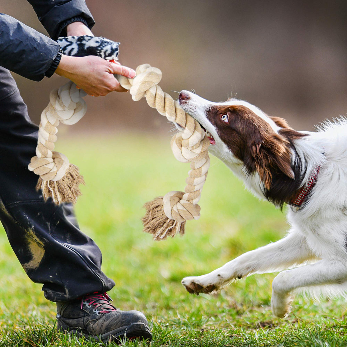 Dog Rope Toys for Aggressive Chewers V68939