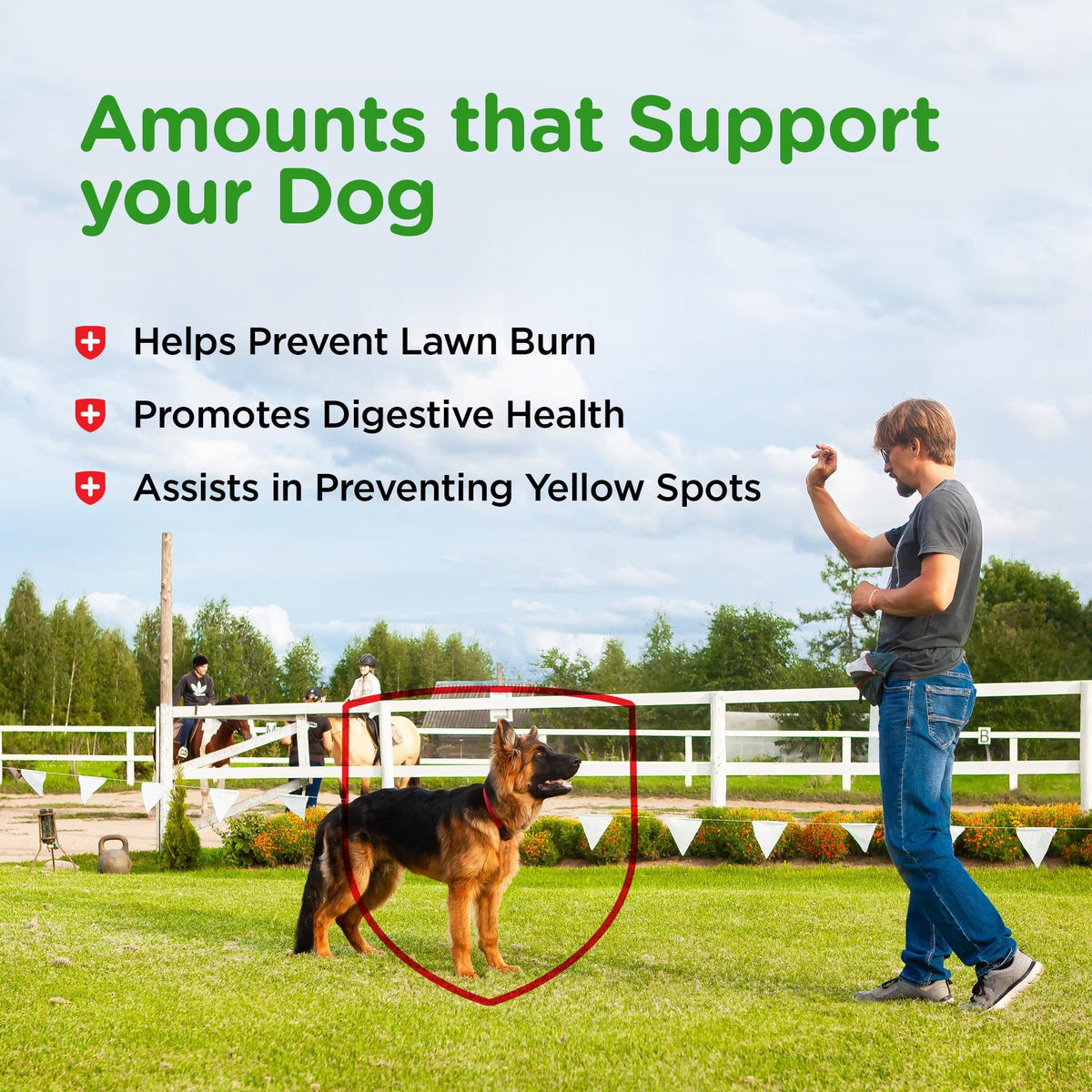 Dog Urine Support Chewables 365 Count R377