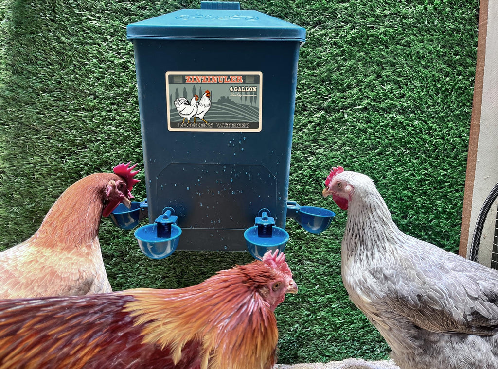 6 Gallon Chicken Waterer 2-Pack M25902
