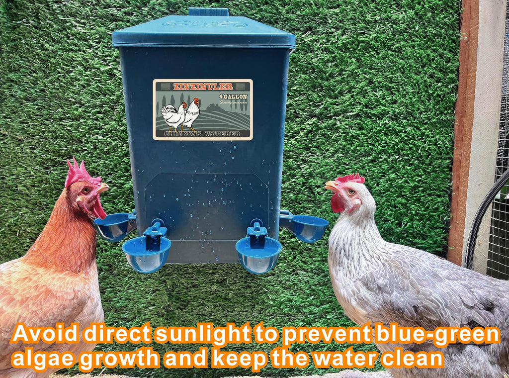 6 Gallon Chicken Waterer 2-Pack M25902